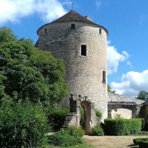 La tour Montaigne (Bibliothèque)