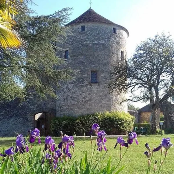La tour Montaigne (Bibliothèque)
