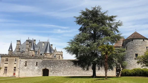 Le château et la tour Montaigne