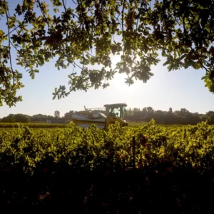 Domaine de Perreau