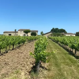 Domaine les Flambertins