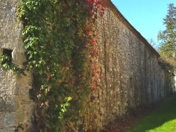 Chemin à Saint-Michel-de-Montaigne