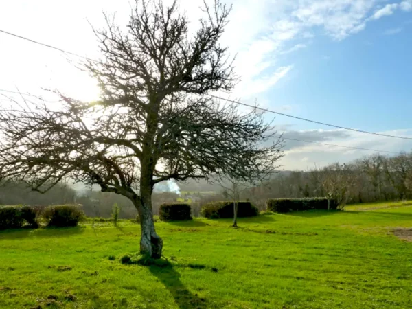 Aux alentours de Bonnefare