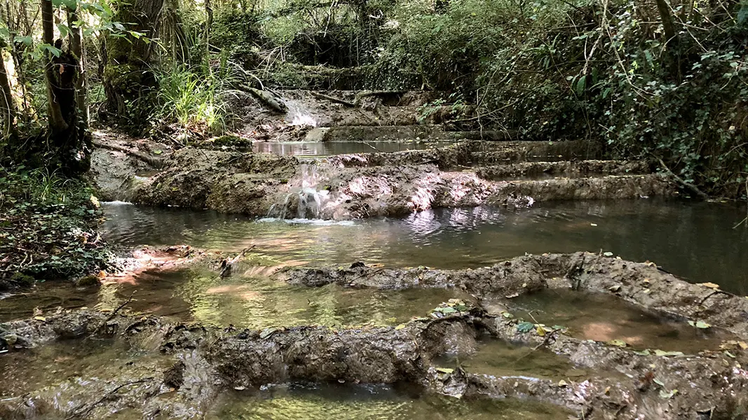 Syndicat des Eaux et Rivières de la Dordogne (SYER)